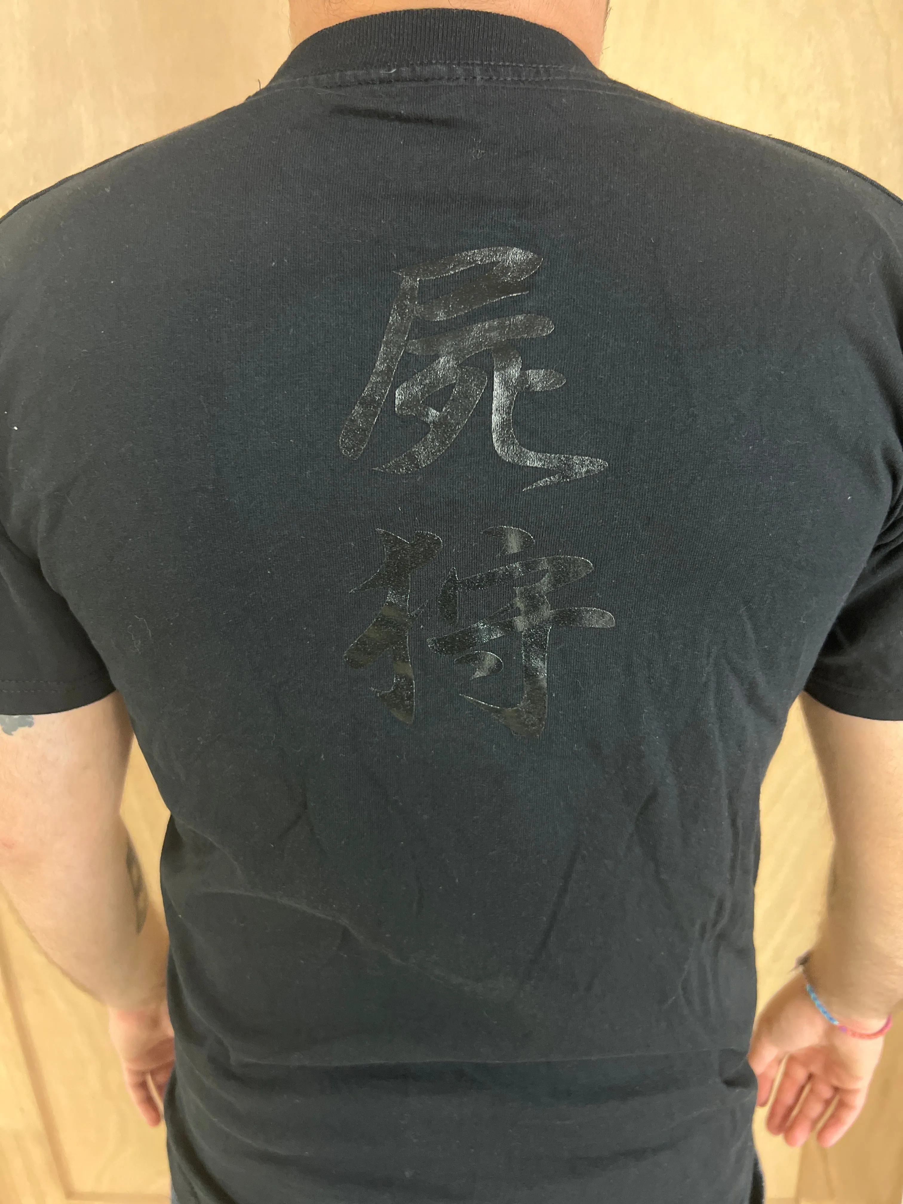 Shikari (T-Shirt / Small)